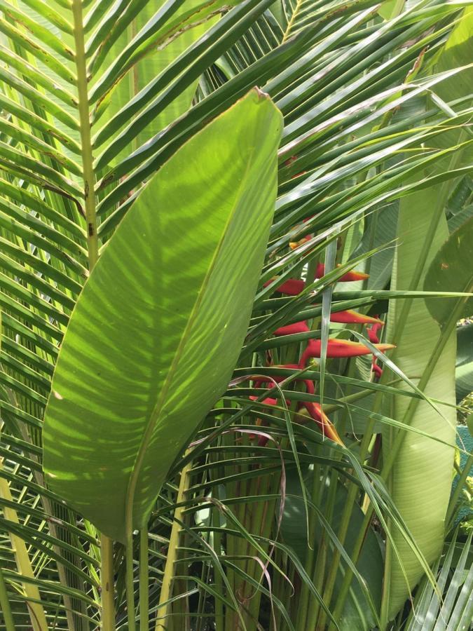 Kubu Green Nusa Dua  Eksteriør bilde